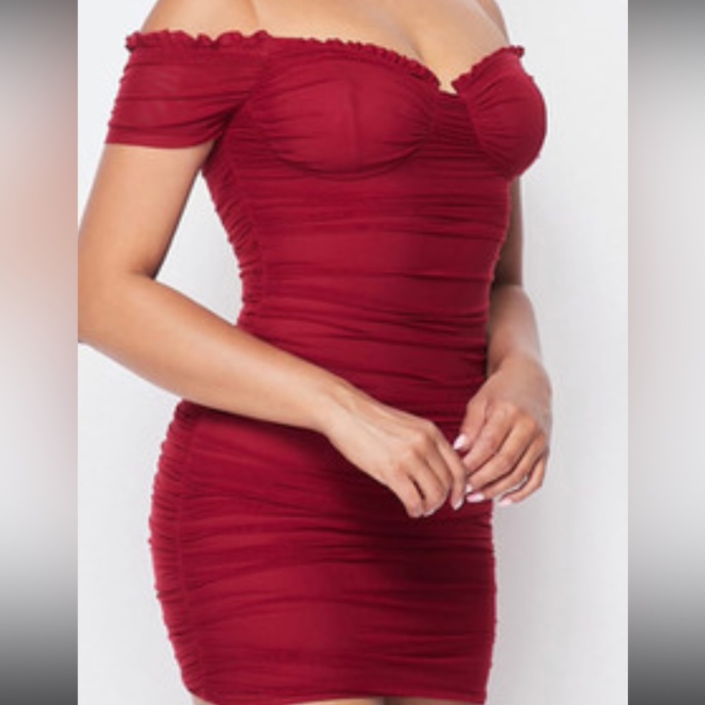 Sweet & Stunning Mesh Mini Dress
